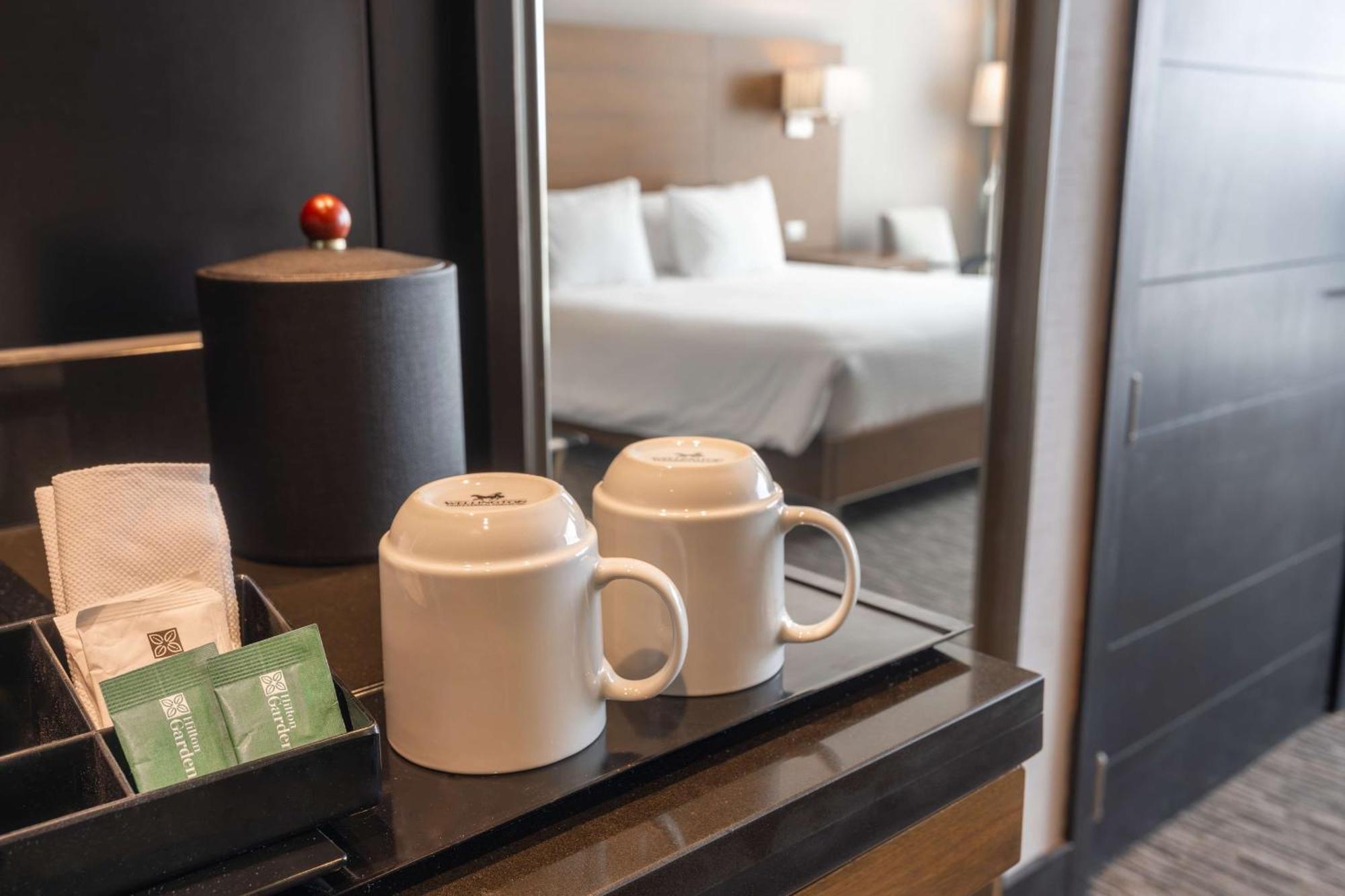 Hilton Garden Inn Икике Экстерьер фото